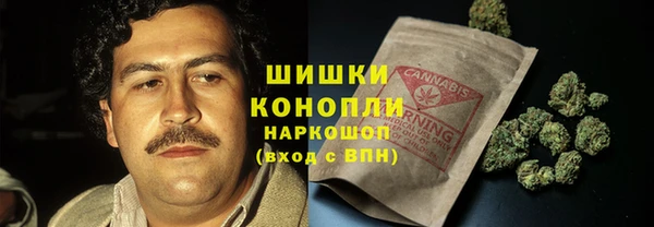 ECSTASY Костерёво