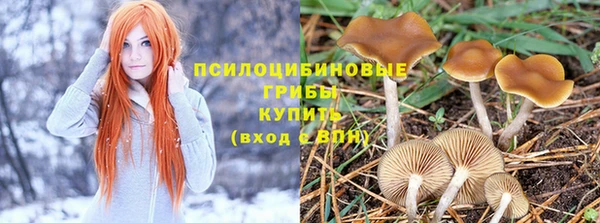 2c-b Коряжма