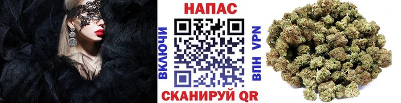 Купить  Курлово  Марихуана индика 